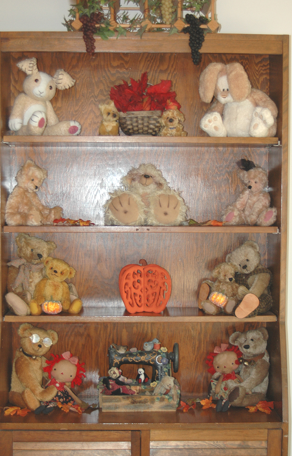 Teddy Bears on Display