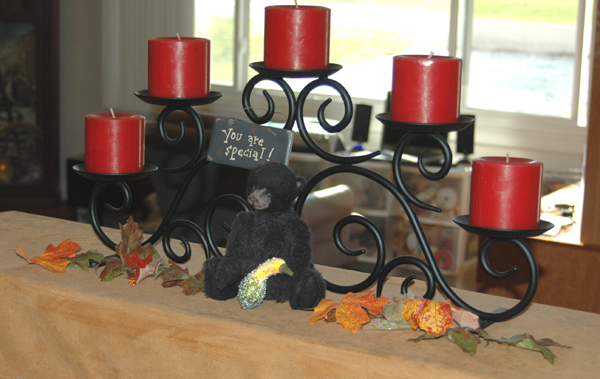 Teddy Bears on Display