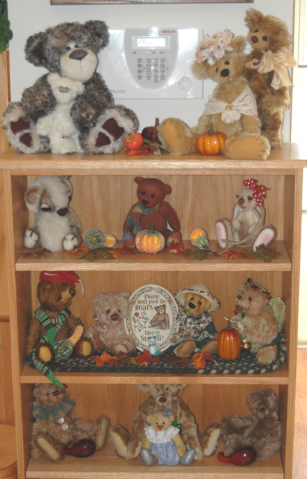 Teddy Bears on Display