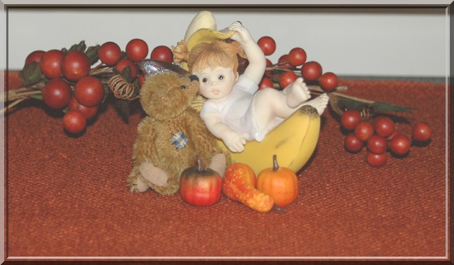 Teddy Bears on Display