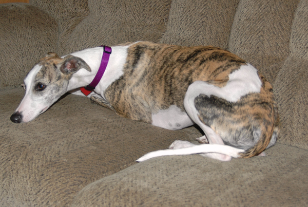 Pandora on her first day