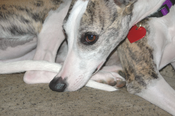 Pandora on her first day