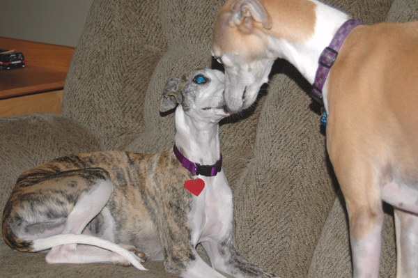 Pandora on her first day