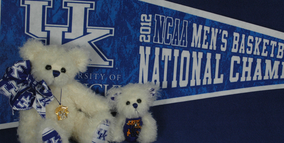 University of Kentucky Teddy Bear